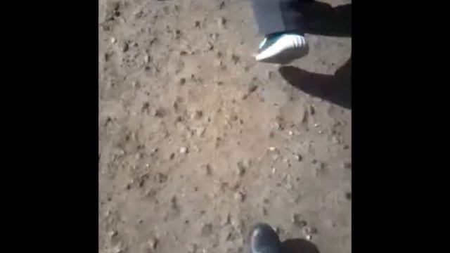 Поздравление пожилого учителя в день пожилого человека смотреть онлайн