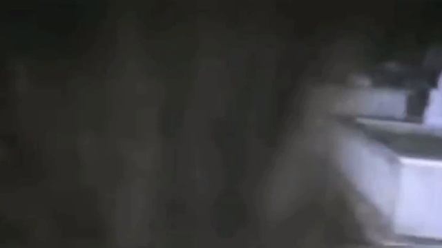 CİN SOFRASI | CİN MUSALLATI | KORKU HİKAYESİ | GERÇEK YAŞANMIŞ PARANORMAL OLAYLAR | KORKU HİKAYELER