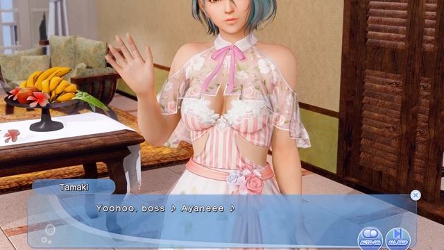 DOAXVV (English) - Event Episodes (Slight Pink Color) - 01 - Food Over Flowers смотреть онлайн