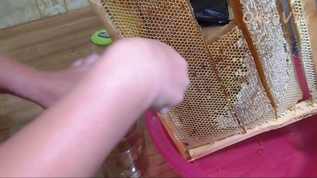 Мед в сотах. Honey comb. Honey. Готовим с Оксаной Валерьевной. смотреть онлайн