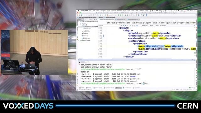 When Java EE Micro Profile meets Angular by Antonio Goncalves смотреть онлайн