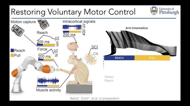 Marco Capogrosso Discusses Spinal Cord Stimulation on Fridays with Friedlander смотреть онлайн