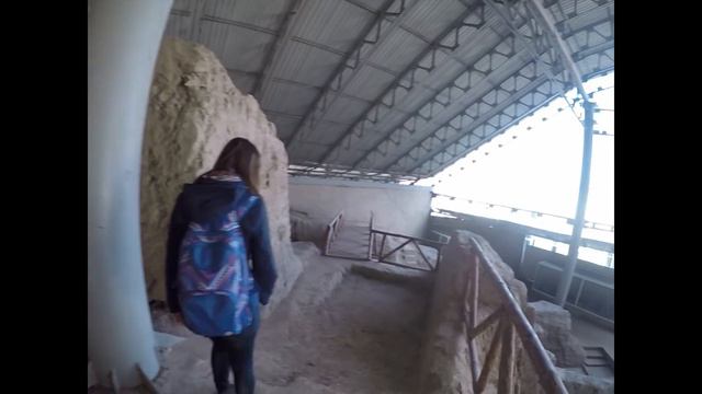 Прогулка по Ташкенту | Автостоп с собакой | Влог смотреть онлайн