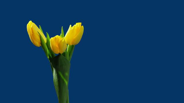 Нежная музыка для души и ЖИЗНИ! Самая Красивая Музыка на Свете! Эту музыку можно слушать вечно смотреть онлайн