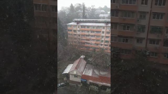 Погода в Сочи сегодня. Снегопад в Сочи 22 декабря 2021 года #сочипогода #сочисегодня смотреть онлайн