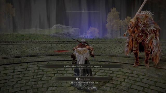 ELDEN RING Bloodhound Knight Darriwil w/ Blaidd the Half-Wolf смотреть онлайн