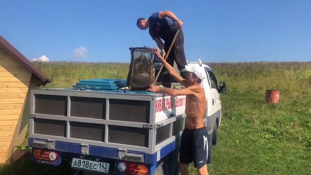 Зарыбление карпом 31.07.20 смотреть онлайн