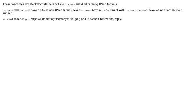 Docker: host grabs ICMP packets (Strongswan IPsec) смотреть онлайн