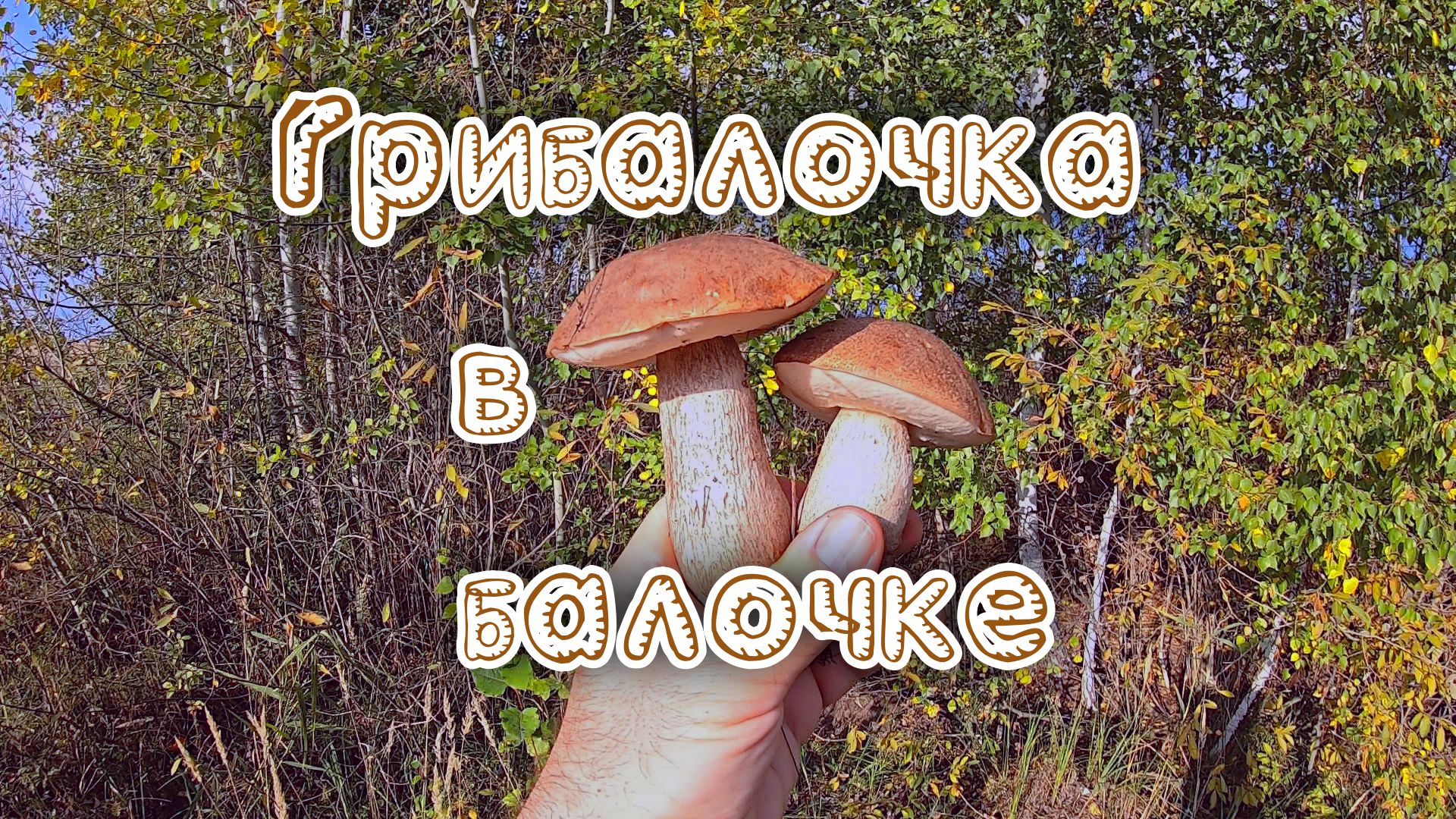 Грибалочка в балочке. смотреть онлайн