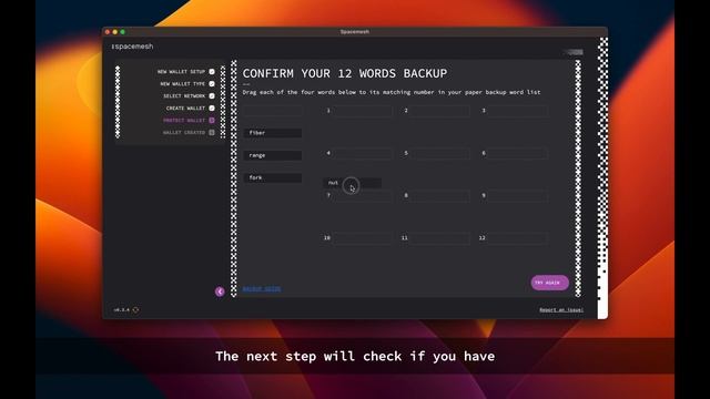 Smapp Tutorial #2: Wallet setup смотреть онлайн