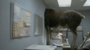 Каннские Львы 2009 (лучшее)