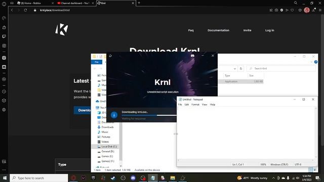 How to Download Krnl Executor ( For Beginners ) смотреть онлайн