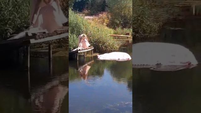 Выбрала быть счастливой смотреть онлайн