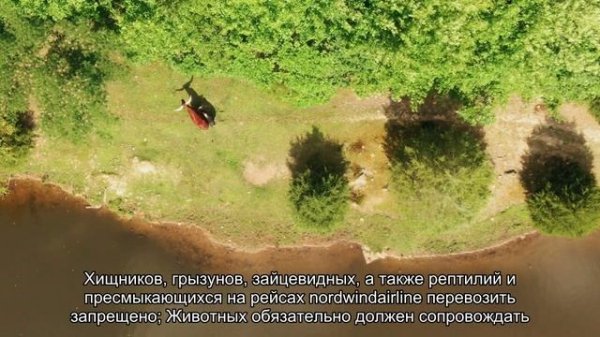 Авиакомпания Nordwind Airlines: стоимость багажа, доплата, нормы и тарифы