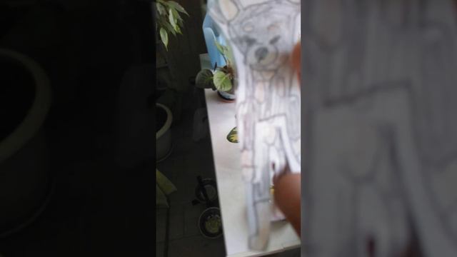 НАШЛА СОБАКУ НА УЛИЦЕ ДОБЕРМАН! ЧЕЙ. смотреть онлайн