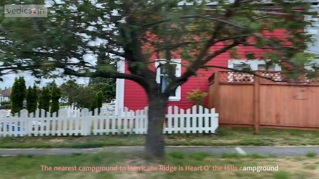 A tour to Hurricane Ridge Olympic National Park of USA Hurricane Ridge Vlog 4 смотреть онлайн