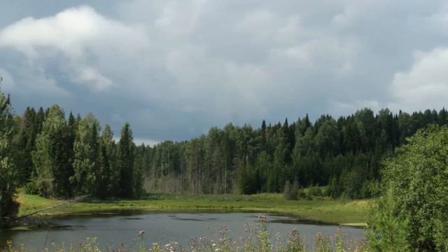 "ЗЕЛЁНЫЕ ПРОСТОРЫ"... (Фото Сергея Черных (Ижевск) - Великорусский Оркестр им. Трояновского) смотреть онлайн