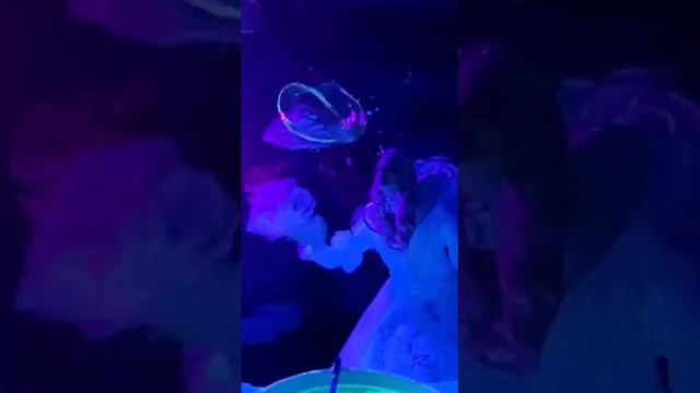 WhatsApp Video 2022 03 22 at 07 32 46 смотреть онлайн