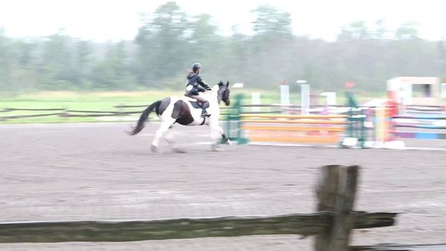 Horse show in the rain / Return to YouTube? смотреть онлайн