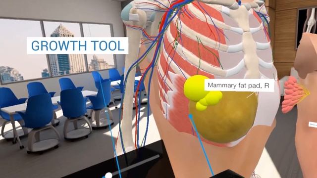 3D Organon VR Anatomy 2021 Edition смотреть онлайн