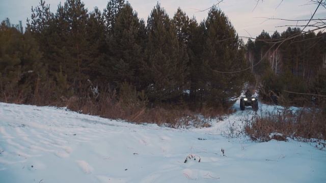 Возможности снегоболотохода ЗЭТ смотреть онлайн