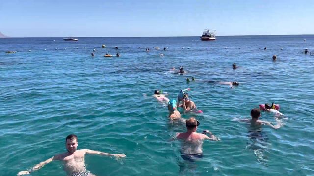 Egypt. Hilton Sharks bay. Red sea. Sharm-El-Sheikh. Массовый туризм вернулся в Египет. смотреть онлайн