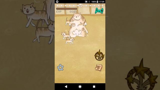 Lionbird #25 Cat Evolution Party Full Gameplay смотреть онлайн