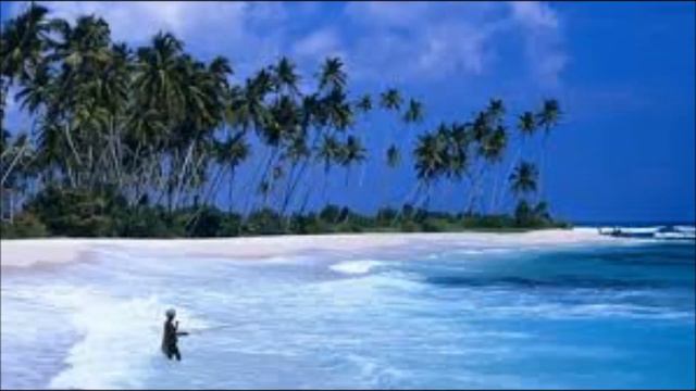 Non stop songs by Wally Bastian (King of Baila) смотреть онлайн