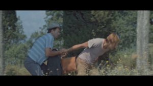 Опекун 1970 год