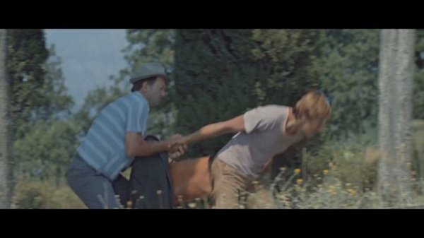 Опекун 1970 год