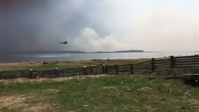 Лесной пожар. д.Юрмы,Вагайский район.Весна 2021. смотреть онлайн