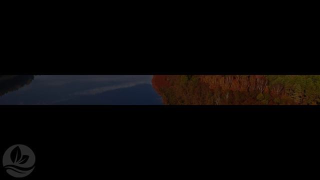 целебная музыка для сердца и сосудов 🌿 успокаивает нервную систему и радует душу #6 смотреть онлайн