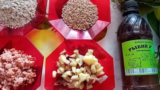 Чем я кормлю кур зимой. смотреть онлайн