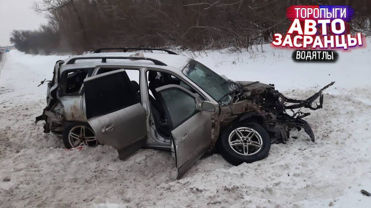 Январьнутые Торопыги! Спасение Лошадей смотреть онлайн