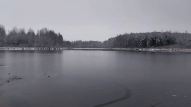 Прогулки с хаски ч. 3 ( зимняя сказка или заснеженный лес) смотреть онлайн