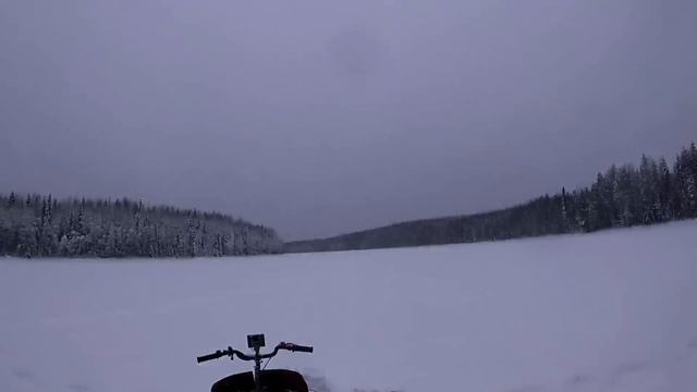 попал в слуз, видел волка! смотреть онлайн