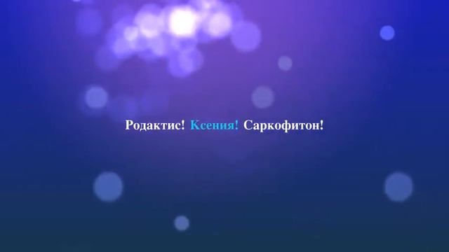 Риф Клуб Поставка Вьетнам смотреть онлайн