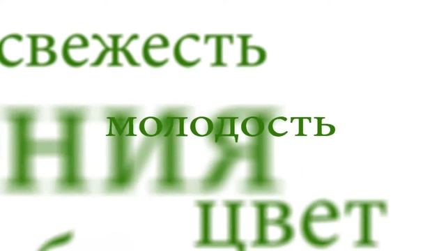 Диспорт в СПБ