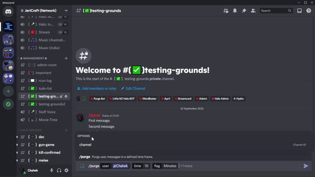 Purge Bot for Discord (demo) смотреть онлайн