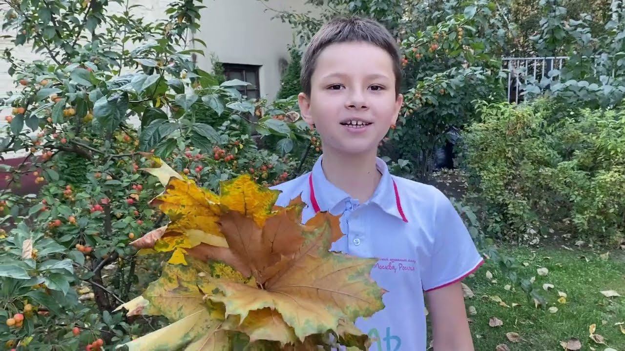 Поздравление от группы Домино смотреть онлайн