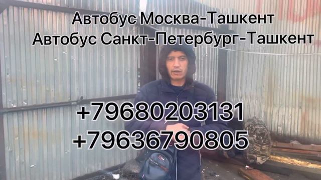 АВТОБУС САНКТ-ПЕТЕРБУРГ ТАШКЕНТ ТАКСИ #москва #бухоро #срочно #санктпитербург +79683220008 смотреть онлайн