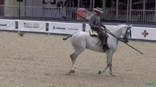Андалузские лошади на Красной площади 07.09.2015 - Выездка, пастушья езда смотреть онлайн