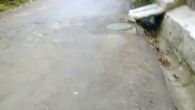 велосипед с задним приводом смотреть онлайн