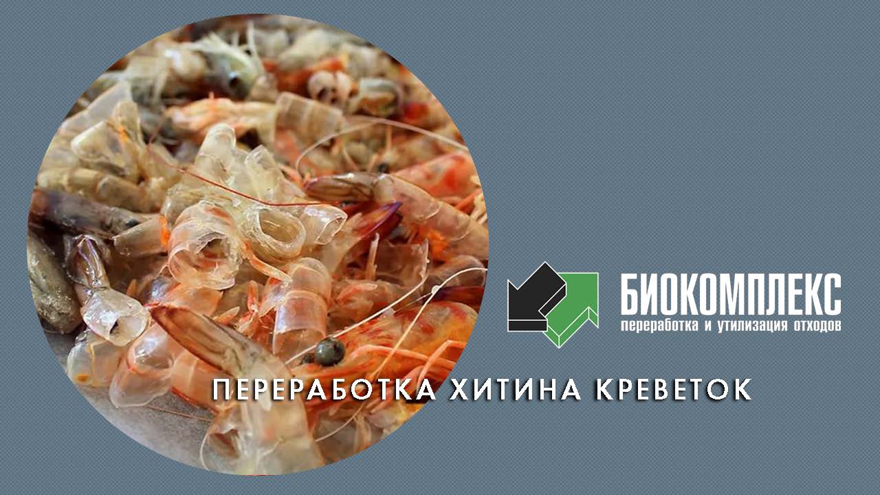 Переработка хитина креветок смотреть онлайн