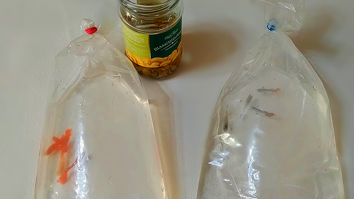 Наконец то у меня они вновь появились! смотреть онлайн