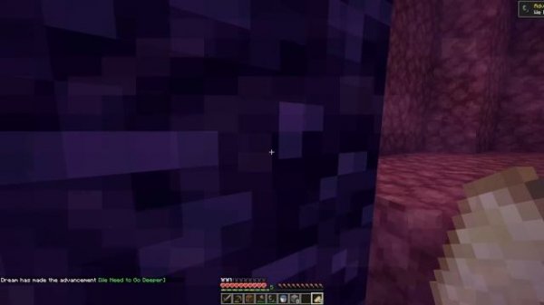 2 Minecraft Speedrunners VS Terminator
