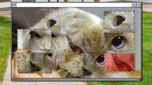 15 Необычных Животных, в Существование Которых Сложно Поверить