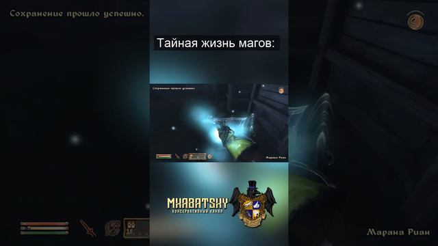Тайная жизнь магов #Shorts #Oblivion #mkabatsky смотреть онлайн
