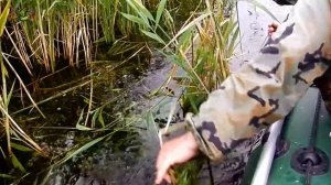 Как СОХРАНИТЬ РЫБУ в ЖАРУ при выезде,на 3 - 4 дня,на РЫБАЛКУ ( ответ подписчику )