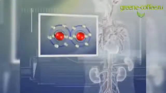 Жиросжигатели. смотреть онлайн